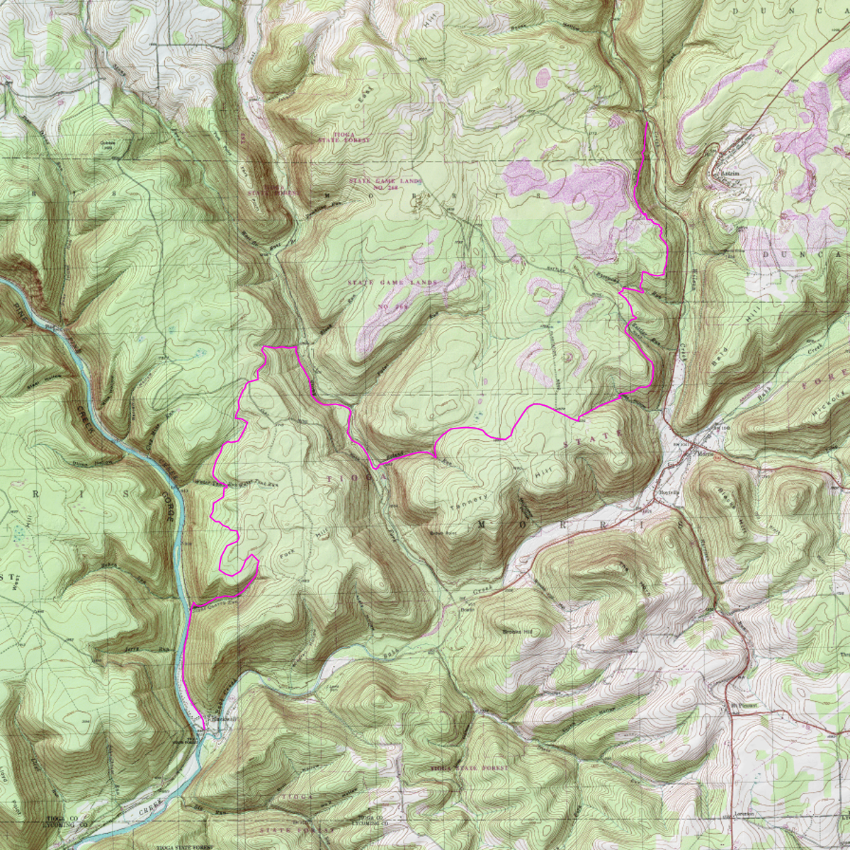 MST section 17 - CalTopo