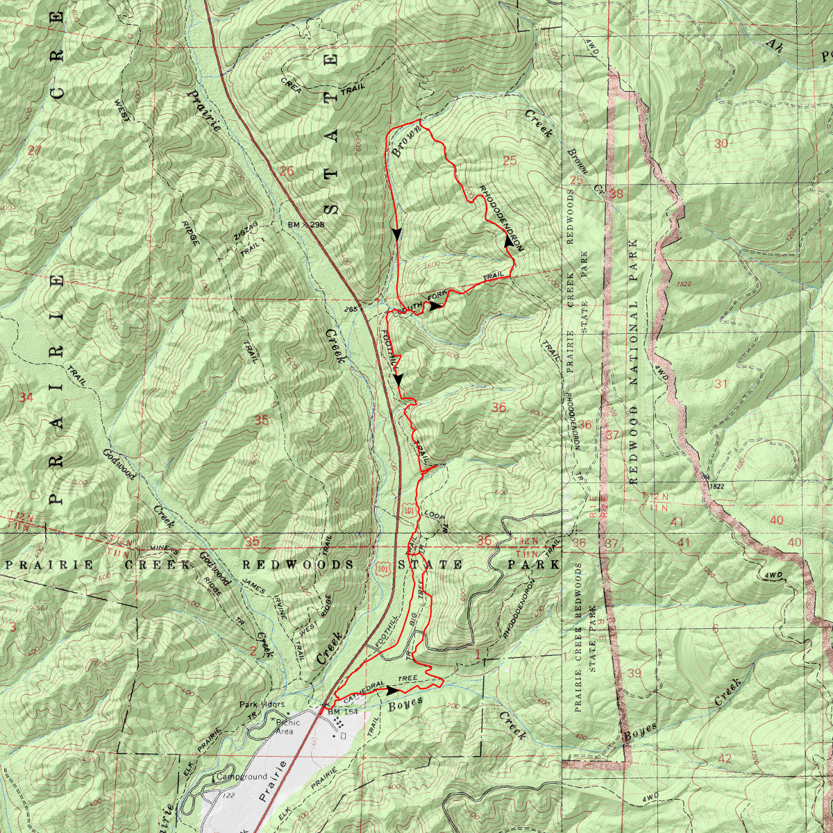 Cathedral Tree, S. Fork, Rhododendron, Brown Creek, Foothill Trail Loop ...